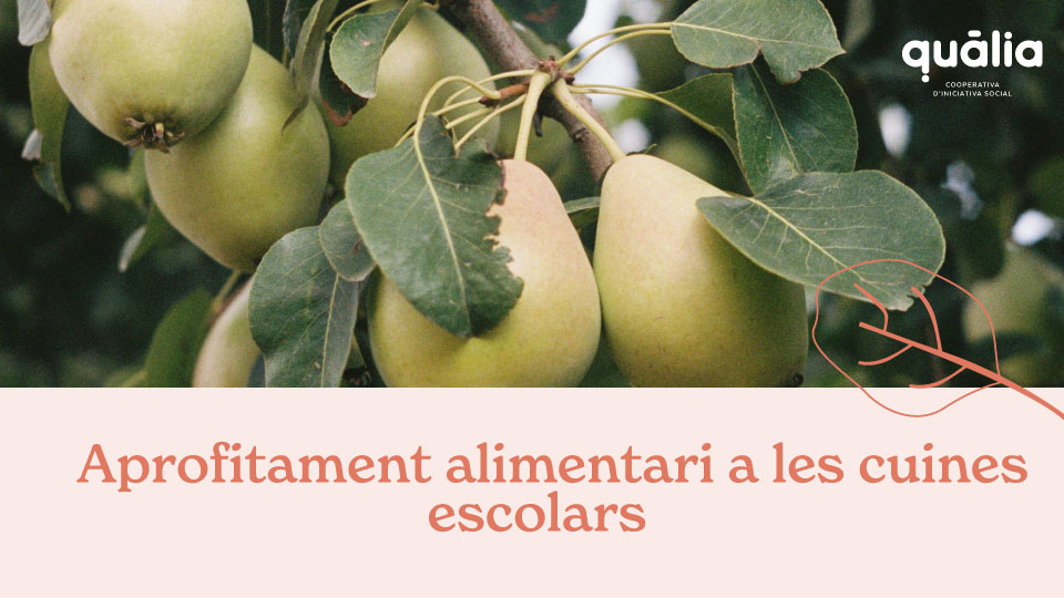 Pla d’aprofitament a les cuines escolars